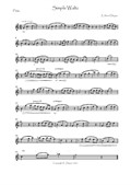 Simple Waltz score for flute solo